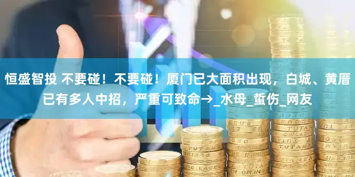 恒盛智投 不要碰！不要碰！厦门已大面积出现，白城、黄厝已有多人中招，严重可致命→_水母_蜇伤_网友