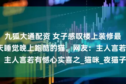 九狐大通配资 女子感叹楼上装修最大的受害者是白天睡觉晚上跑酷的猫。网友：主人言若有憾心实喜之_猫咪_夜猫子_小家伙