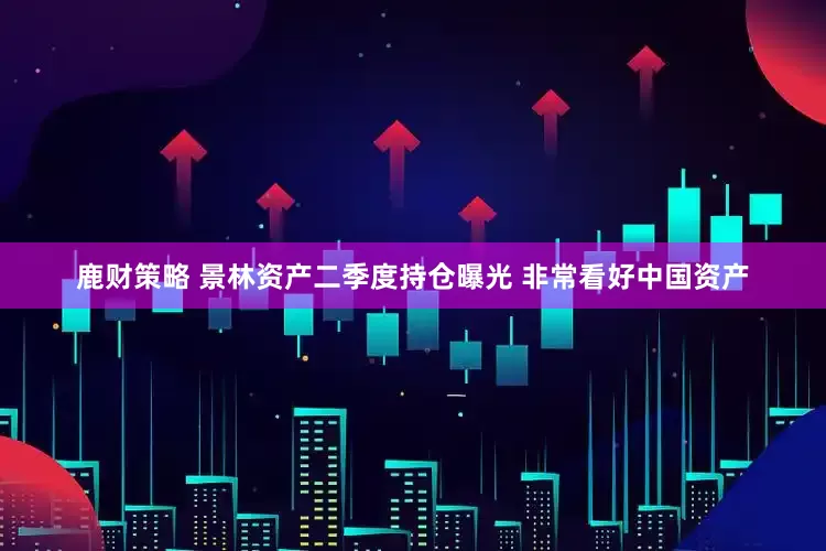 鹿财策略 景林资产二季度持仓曝光 非常看好中国资产