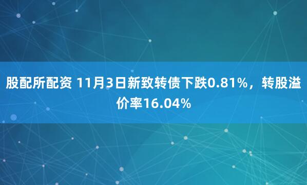 股配所配资 11月3日新致转债下跌0.81%,转股溢价率16.04%