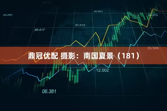 鼎冠优配 摄影：南国夏景（181）